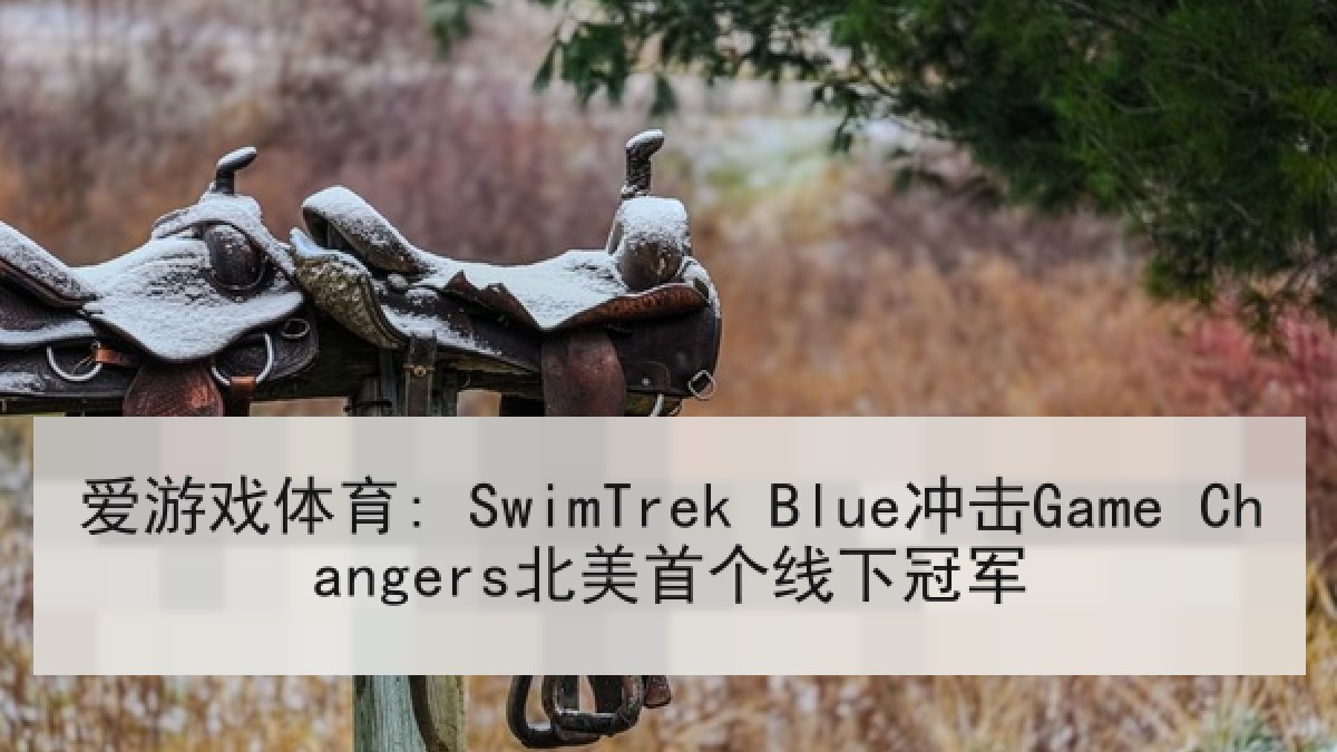 爱游戏体育: SwimTrek Blue冲击Game Changers北美首个线下冠军