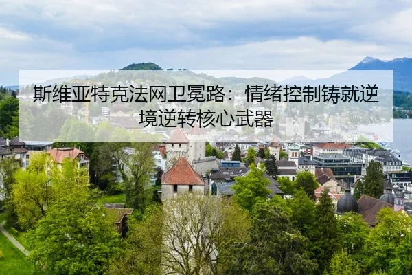 si-wei-ya-te-ke-fa-wang-wei-mian-lu-qing-xu-kong-zhi-zhu-jiu-ni-jing-ni-zhuan-he-xin-wu-qi-3-466.jpg