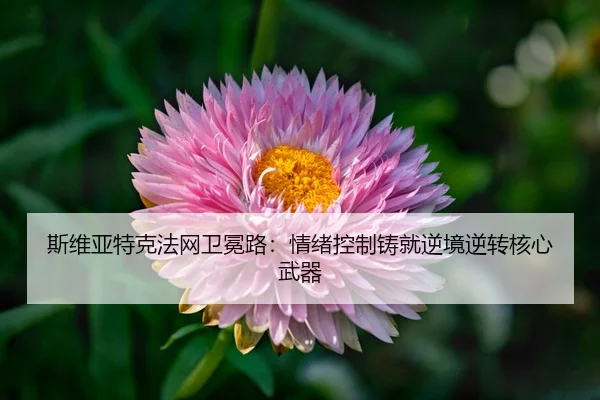 斯维亚特克法网卫冕路：情绪控制铸就逆境逆转核心武器
