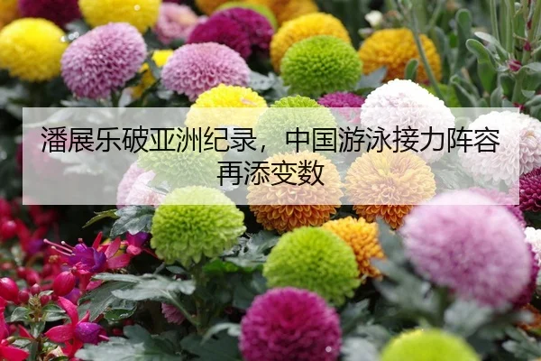 潘展乐破亚洲纪录，中国游泳接力阵容再添变数