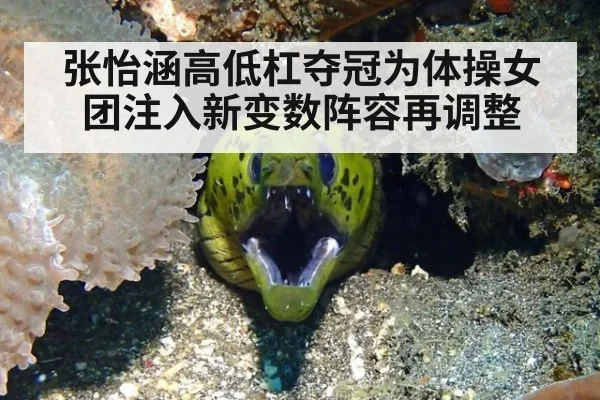 张怡涵高低杠夺冠为体操女团注入新变数阵容再调整