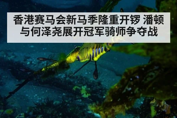 香港赛马会新马季隆重开锣 潘顿与何泽尧展开冠军骑师争夺战